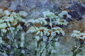 FLEURS PAR TEXTURE sur Kelly Durieu