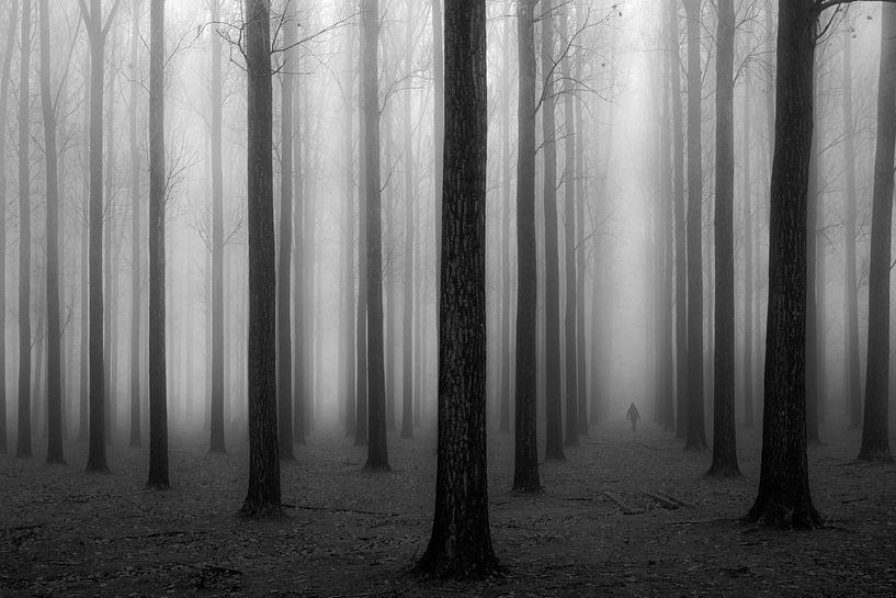 Dans un brouillard, Jochen Bongaerts par 1x