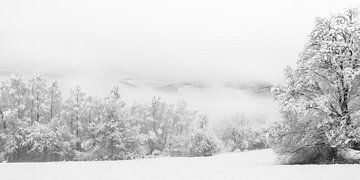 Fog and snow van Olivier Chattlain