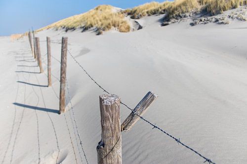 Fence at the dune
