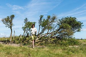 Paysages mixtes - Arbre