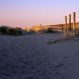 Evening light along the Dune Path by Sebastian Stef