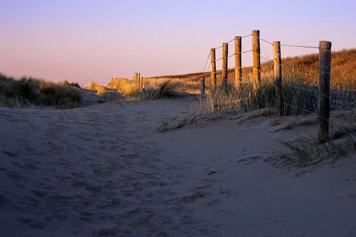 Evening light along the Dune Path