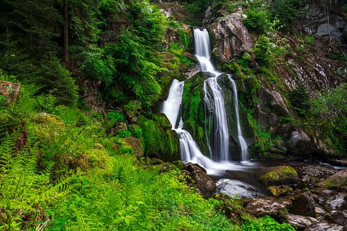 Les chutes d'eau de Triberg au printemps