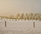 Bulkem Simpelveld in de sneeuw van John Kreukniet thumbnail