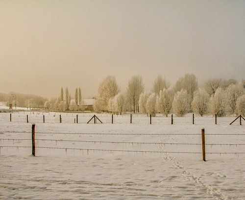 Bulkem Simpelveld in de sneeuw