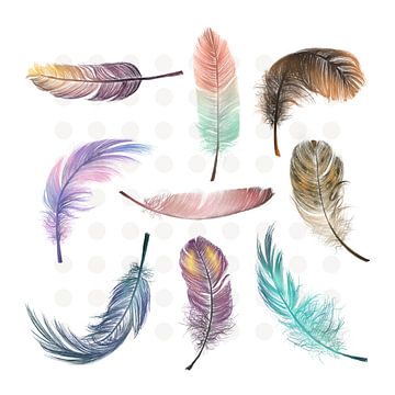 Feathers von Marja van den Hurk