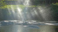 Les rayons du soleil à travers la fontaine dans l'étang par Ronald Smits Aperçu