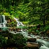 Oase waterval, waterfall van Corrine Ponsen