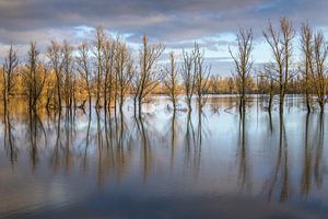 De belles couleurs dans la végétation et le ciel du Munnikenland