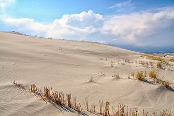 Coastal dunes sur Jan Brons