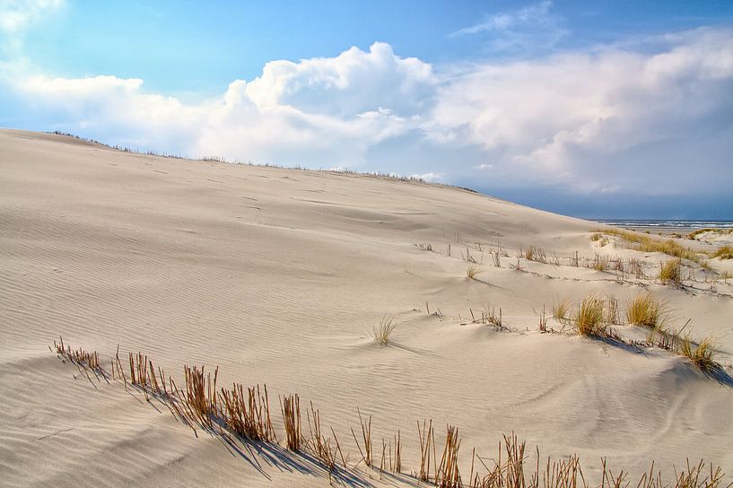 Kust Duinen van Jan Brons