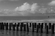 Pileheads Zeeland by Roland de Zeeuw fotografie thumbnail