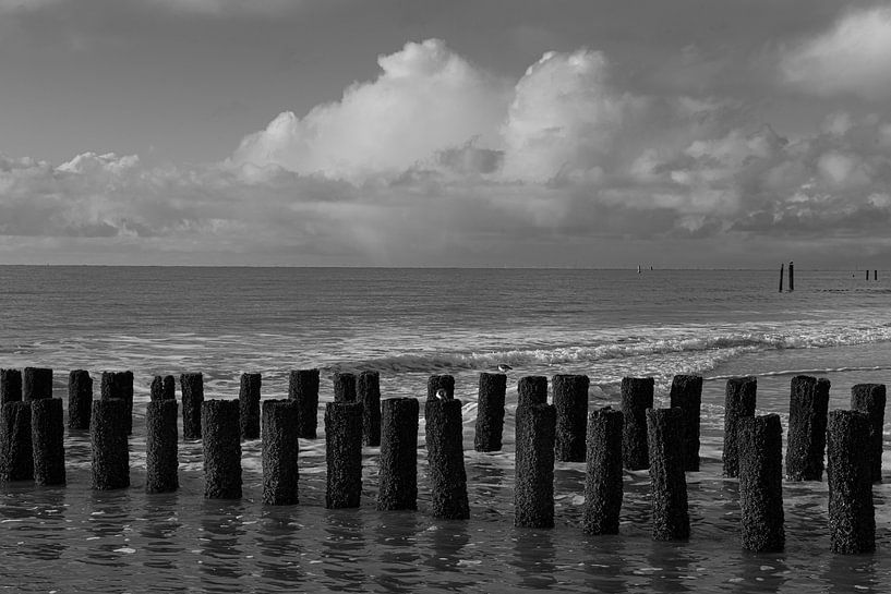 Pileheads Zeeland by Roland de Zeeuw fotografie