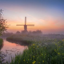 Frühling in Holland von Antoine van de Laar