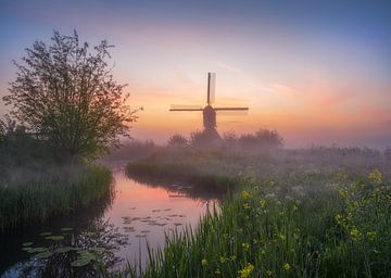 Lente in Holland van Antoine van de Laar