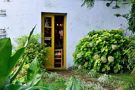 Gezellige winkel van Frank's Awesome Travels