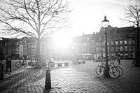 Market in Maastricht in the afternoon sun