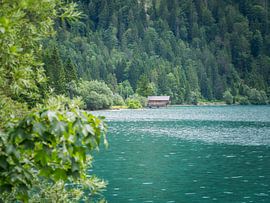 Plansee in Oostenrijk