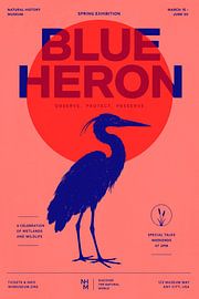 Héron bleu