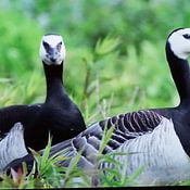 philip egmond vanwaesberge Profile picture