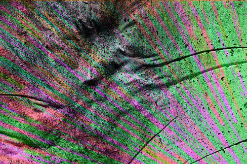 ke/198 sur Hans Keim