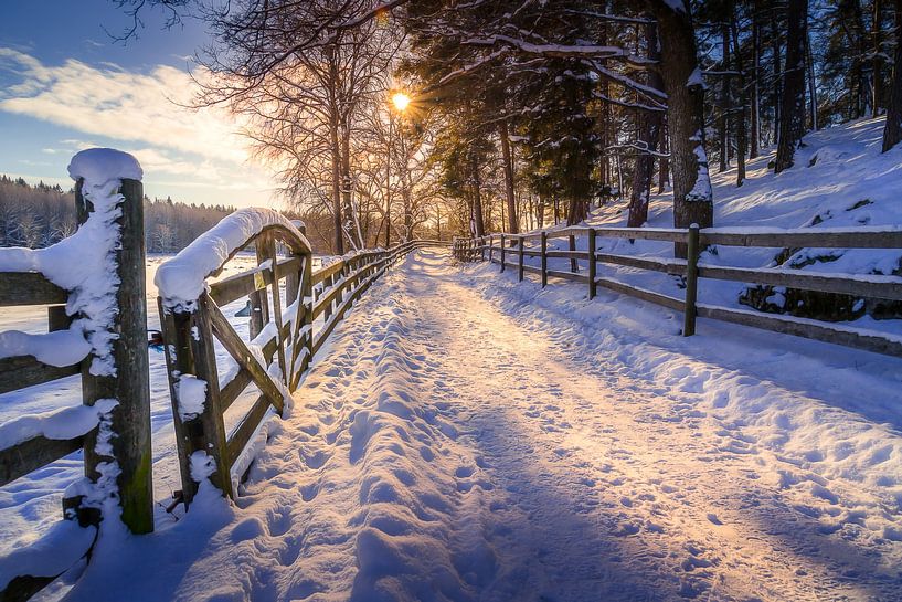 Chemin d'hiver par Nicklas Gustafsson