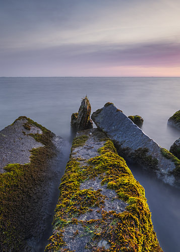Serene ochtend aan het Markermeer met zachte kleuren, spiegelend water en met mos bedekte rotsen bij Edam