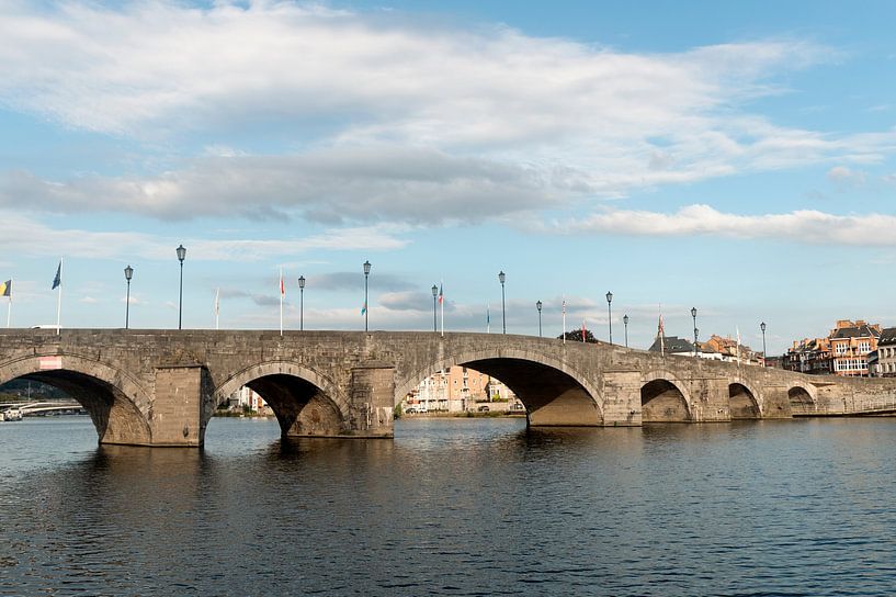Pont de Jambes Namur by Richard Wareham
