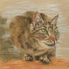 Katze sitzt auf der Lauer von Karen Kaspar