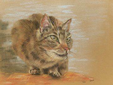 Katze sitzt auf der Lauer