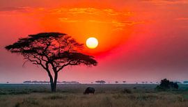 Afrika met zonsondergang