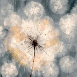 Abstracte paardenbloem