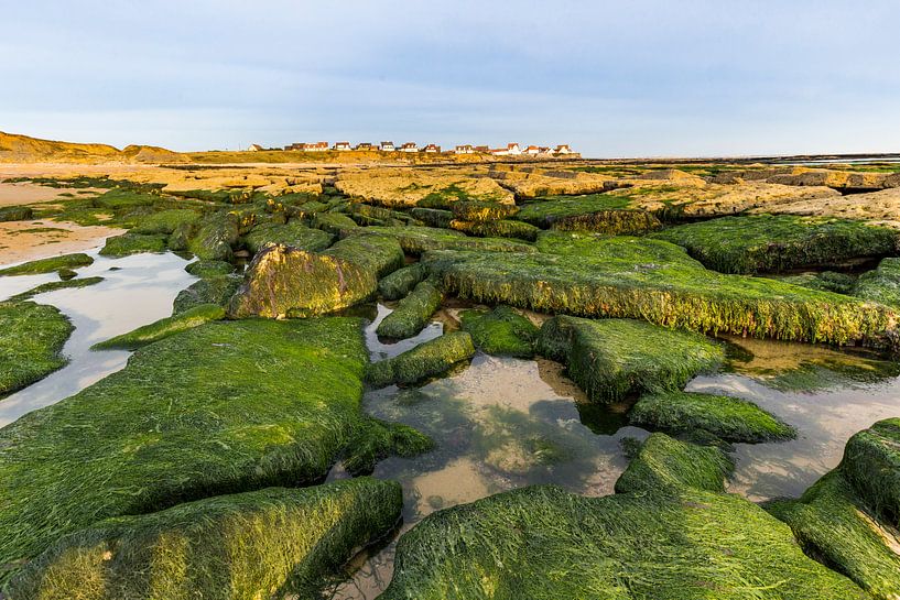Rock parties with moss on the beach on the Opal Coast by Easycopters