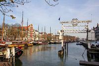 Wolwevershaven Dordrecht