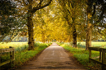 Verliefd op de Herfst