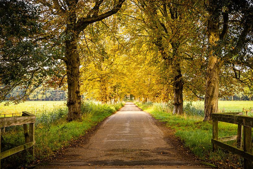 In love with the Autumn by Anouk Peeters