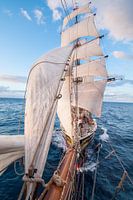 Far up the bowsprit