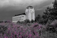 Heath, threatening skies and Radio Kootwijk by Framed by Elisabeth thumbnail