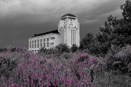 Heath, threatening skies and Radio Kootwijk by Framed by Elisabeth