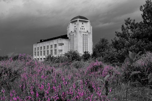 Heide, bedrohlicher Himmel und Radio Kootwijk