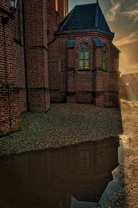 Na de regen!
