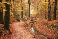 beekje
