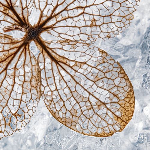 Een winters vierkantje met een hortensiablaadje