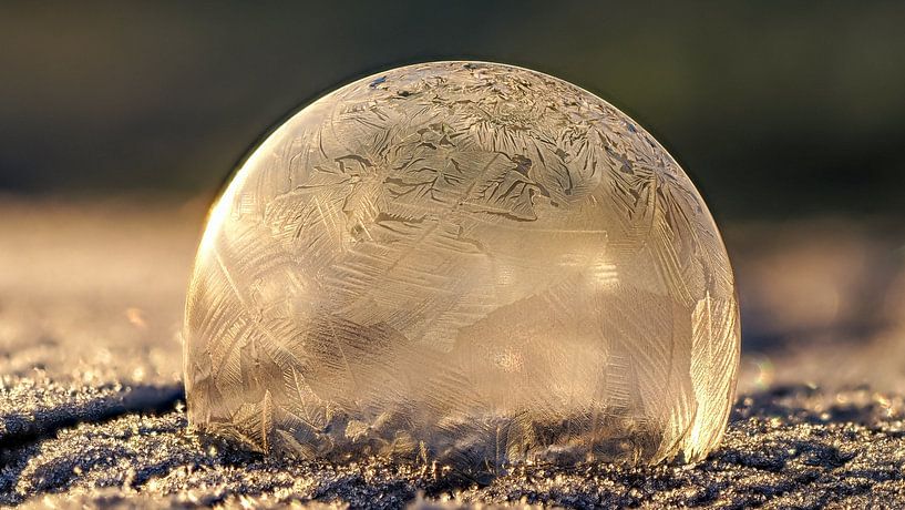 Frozen art #2 by Lex Schulte