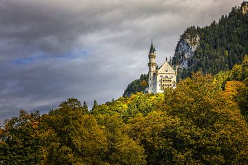 Schloss Neuschwanstein bei Schwangau - Bayern von BlattArt - Christine Horn