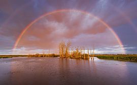 One morning at Tusschenwater Zuidlaren with a beautiful rainbow by Marga Vroom