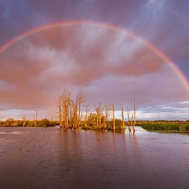 Op een ochtend bij Tusschenwater Zuidlaren met een mooie regenboog van Marga Vroom