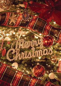 Frohe und strahlende Weihnachten und Neujahr