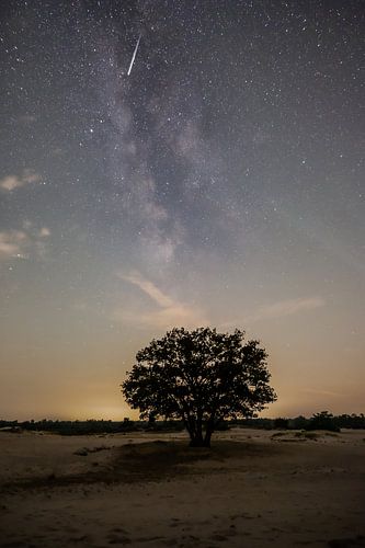 Falling through the galaxy